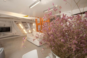 Space Home Rome